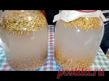 ЕСЛИ &quot;ЖИВАЯ ВОДА&quot; И СУЩЕСТВУЕТ, ТО ЭТО ОНА - КВАС ИЗ ОВСА - YouTube