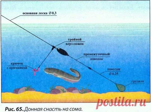 (48) Одноклассники