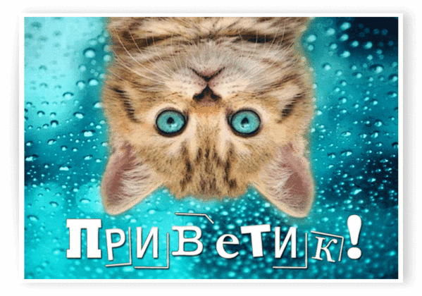 Мой Мир@Mail.Ru