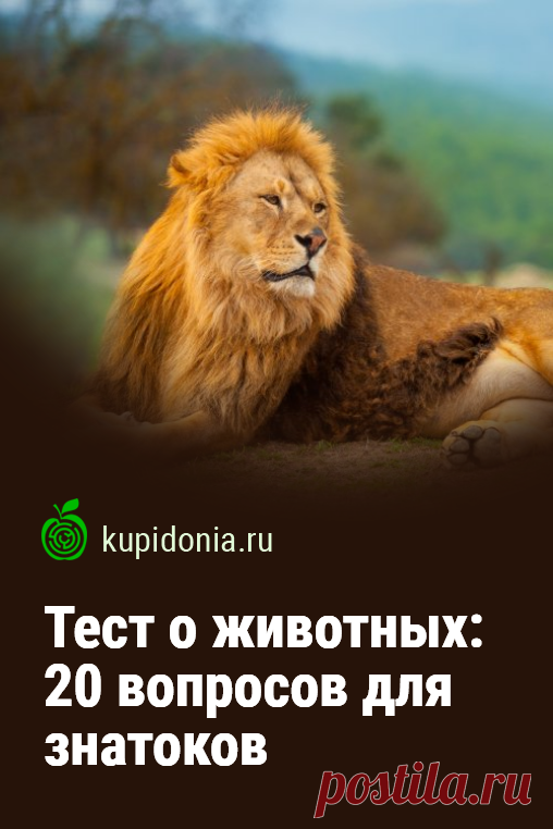 Тест о животных: 20 вопросов для знатоков. Продолжаем серию интересных тестов о животных. Сегодня мы подготовили для вас 20 занимательных вопросов разной сложности. Попробуйте ответить правильно на каждый из них!