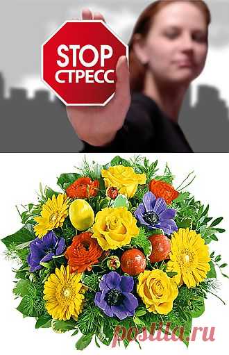 10 продуктов, которые снимают стресс и успокаивают нервы!