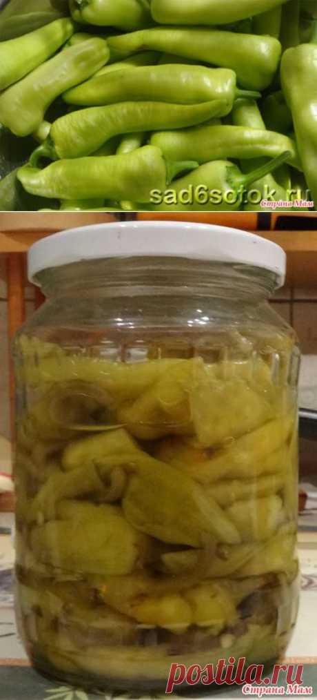 Зеленый маринованный перец (грузинский рецепт) - Я не повар, я только учусь. - Страна Мам
