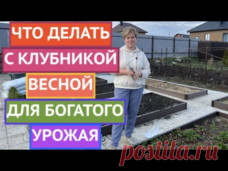 ВСЕ ОБ УХОДЕ ЗА КЛУБНИКОЙ ВЕСНОЙ 2023!
