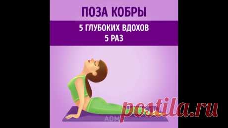 Простая йога для плоского живота