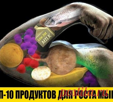 ТОП-10 продуктов для роста мышц