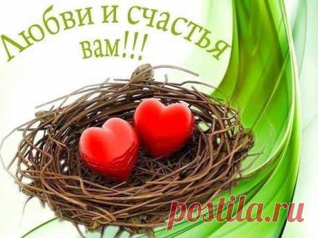 вау – 123 фотографии