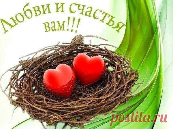 вау – 123 фотографии