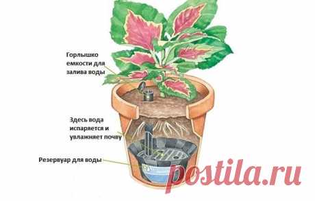 9 свежих инструментов для вашего сада