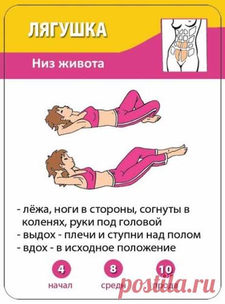 Лягушка для живота
