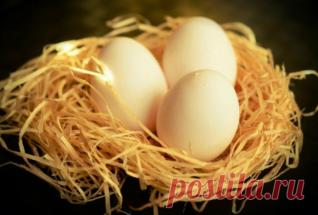 Диабет и яйца. Или яйца надо есть при СД.
Полезные яйца. Всем как всегда привет.Яйцо на завтрак съесть — это классика.Давайте разбираться чего больше в них пользы или вреда.Их любят все -от мала до велика. Польза при сахарном диабете . В яйцах содержится много протеина , много питательных жиров и которые помогут контролировать уровень сахара мало углеводов. Протеины и жиры, содержащиеся в яйцах помогают […]
Читай дальше на сайте. Жми подробнее ➡