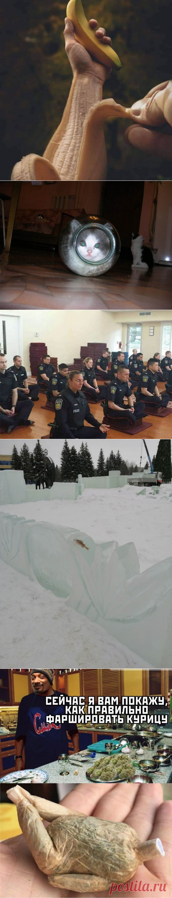 Подборка прикольных картинок и фотографий-236