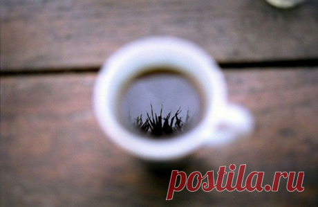 15 способов экологичного использования кофейной гущи | ПолонСил.ру - социальная сеть здоровья
