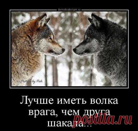 Волк- это символ справедливости и честолюбия. свободное и независимое существо.