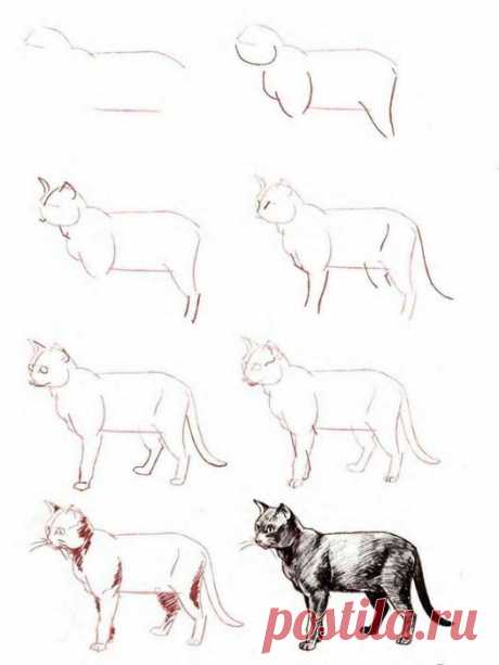 РИСУЕМ КОШЕК, КОТОВ И КОТЯТ ПОЭТАПНО