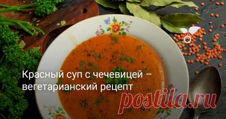 Красный суп с чечевицей – вегетарианский рецепт Самый вкусный красный суп с чечевицей и овощами согреет в холодный день. Этот первое блюдо настолько сытное, что о мясе вы даже не вспомните. Вегетарианский рецепт чечевичного супа с сельдереем, луком, морковью и консервированными томатами подойдет для постного меню – это полноценное горячее блюдо богато растительным белком.