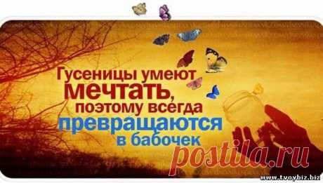 Решать. Меняться. Стремиться вперед. Мыслить. Принимать вызовы. Вставать и действовать. Отказываться от стереотипов. Достигать. Мечтать. Открывать. Верить. Останавливаться. Слушать себя. Расти. Побеждать. Смотреть на жизнь открытыми глазами.
Наша компания успешна, продвигаемся в онлан проекте, вам интересно пишите: masha.golovenkova@yandex.ru или скайп: sitora.ru1