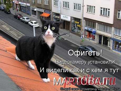 Дорм-И — «Прозрение...» на Яндекс.Фотках