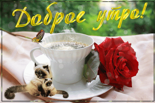 Google+