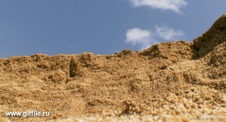 giffile.ru_gif_animals_741_thumb_500.gif (Изображение GIF, 500 × 269 пикселов)