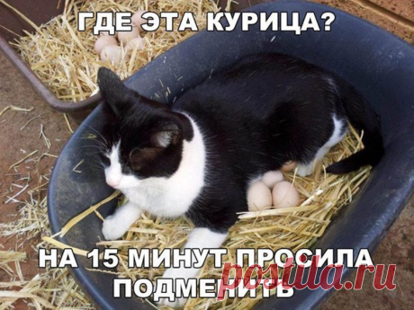 Смешная галерея фотоприколов | Чёрт побери