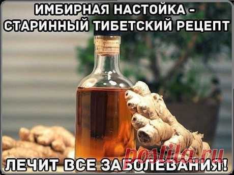 ИМБИРНАЯ НАСТОЙКА — СТАРИННЫЙ ТИБЕТСКИЙ РЕЦЕПТ Она отлично восстанавливает зрение, очень полезна при ангине и простудных заболеваниях. В свое время я попробовала ее, когда болела ангиной. А теперь просто пью для профилактики. Не болею...