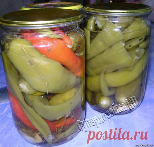 Горький  на зиму. Консервированный горький перец. Рецепты с фото - 1