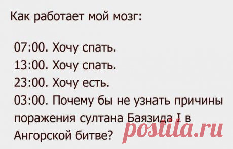 л