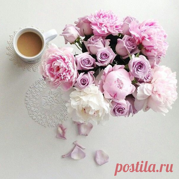 Доброе утро! Нежных вам выходных!