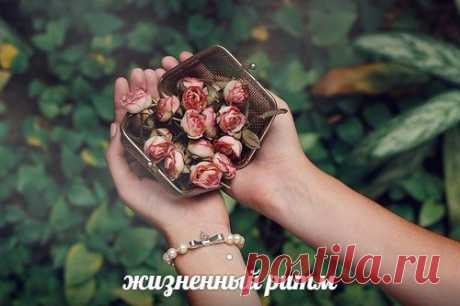 Я просто проснулась утром и сказала себе, что пора приумножить счастье.

Э.Сафарли.
