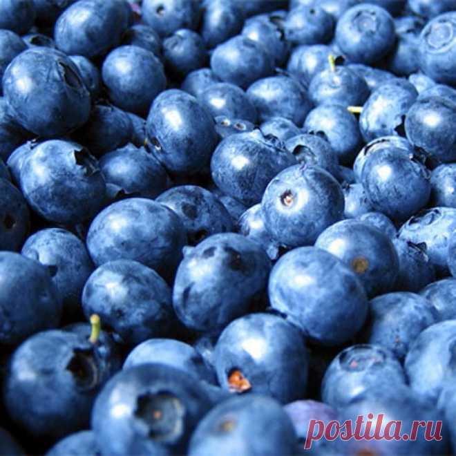 Продукты, способные улучшить память / Все для женщины