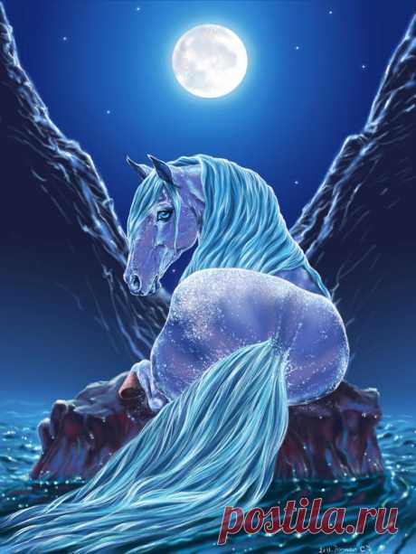 sea horses by Animal75Artist on DeviantArt