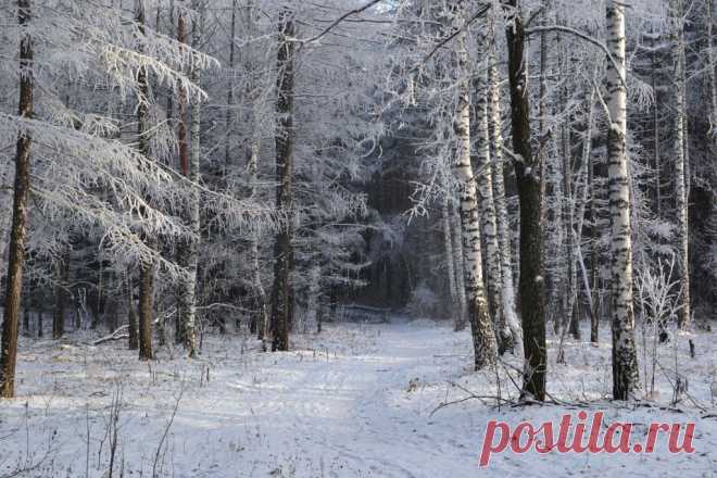 ФОТОМАСТЕРСКАЯ ПРИРОДЫ
Валентина Кобцева