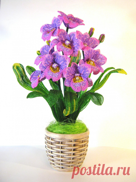 Орхидея Мильтония | biser.info - всё о бисере и бисерном творчестве