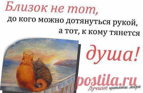 Интересные новости