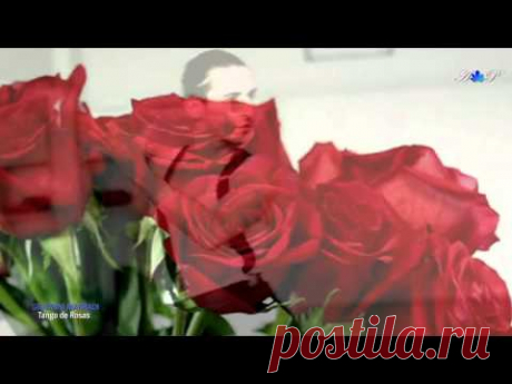 ♡ Tango de Roses - GIOVANNI MARRADI