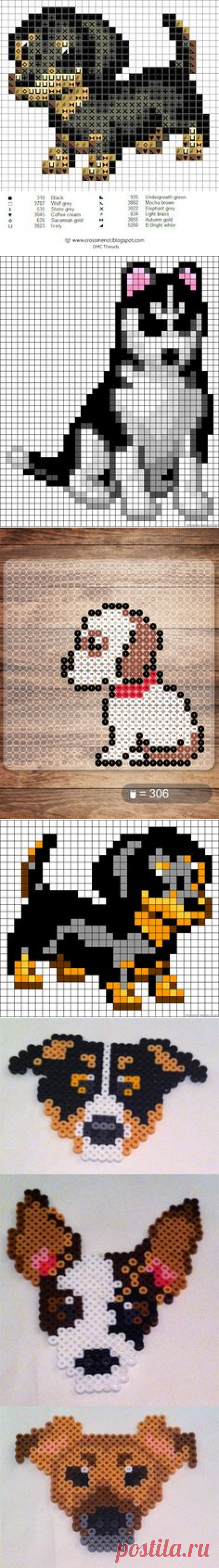 (128) Cross me not: Another puppy! | Perler beads