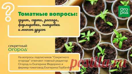 Вогородепро ру Блог по вязанию для начинающих и опытных вязальщиц Ваш ресурс номер один для обучения вязанию спицами. Блог, посвященный бесплатным выкройкам, видео по вязанию, пряже и всему, что нужно для этого удивительного хобби.