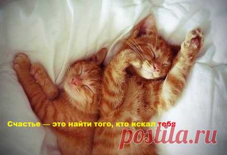 Вторая половинка
