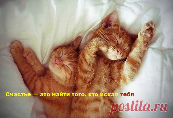 Вторая половинка