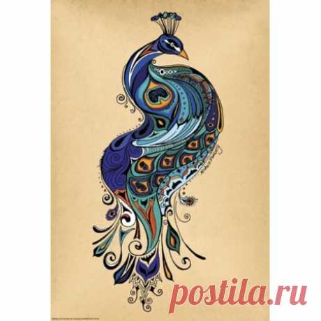 Peacock Poster Print by Green Girl Canvas (13 x 19) - Walmart.com
