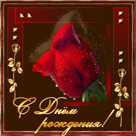 Анимация