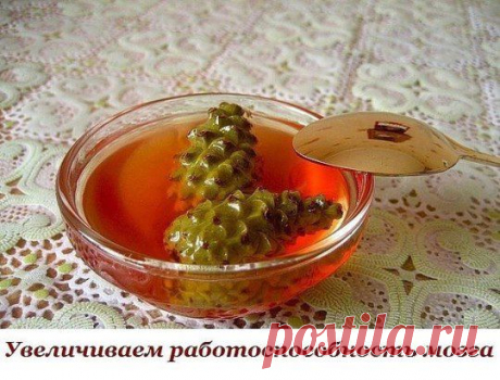 Расширяем сосуды для питания головного мозга