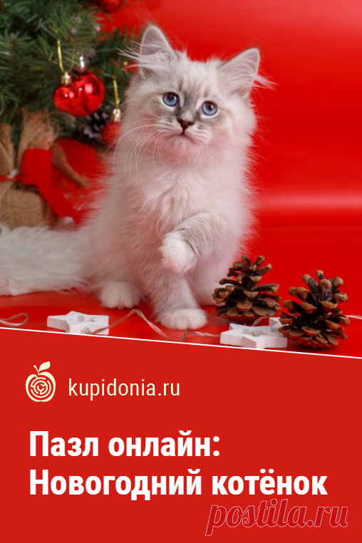Пазл онлайн: Новогодний котёнок. Красивый новогодний пазл, который поднимет ваше настроение. Собери пазл на сайте!
