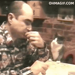 Дай, ну одну.. Ну пожалуйста