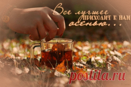 Дневник Вортеп