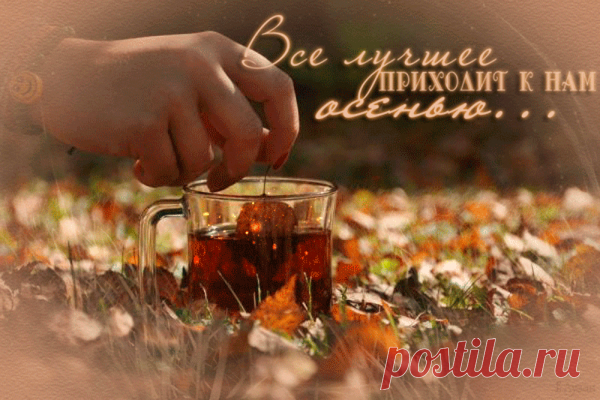 Дневник Вортеп