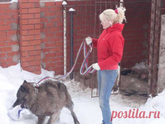 мы на прогулку собрались