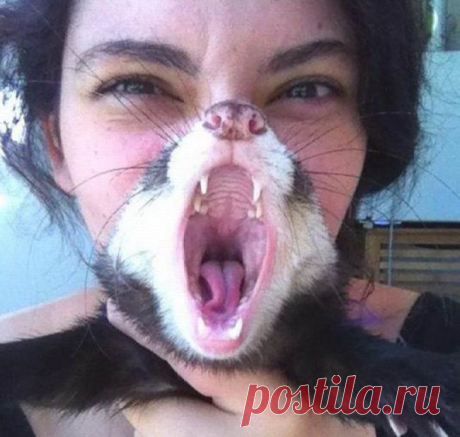Да уж