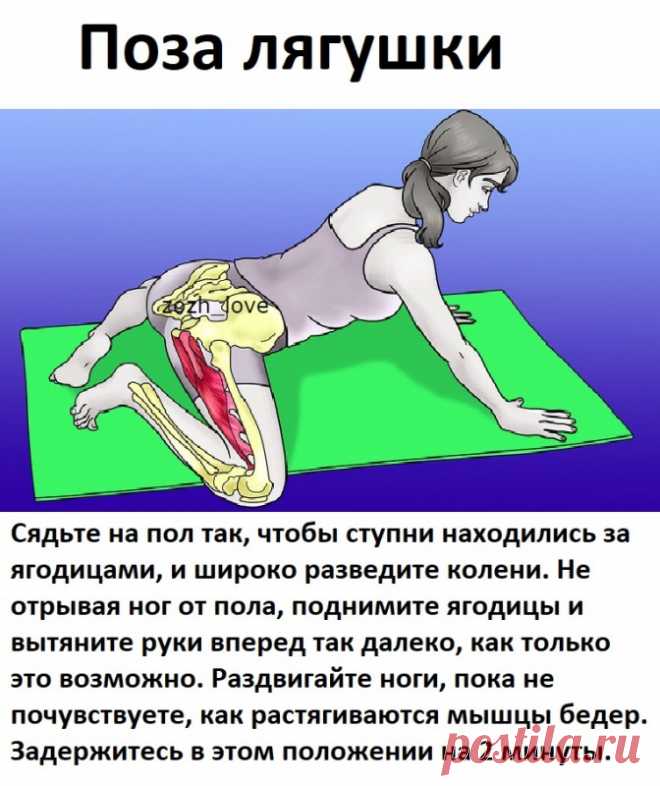 ​10-минутная растяжка для профилактики болей в спине — Полезные советы