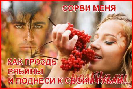 ❤♥❤ Сорви меня как гроздь рябины ...... ~ Плэйкасты ~ Beesona.Ru